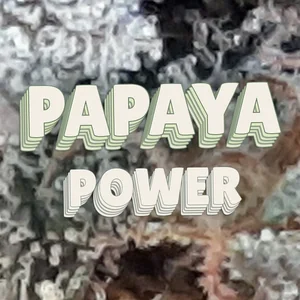 Papaya Power Cannabis Strain