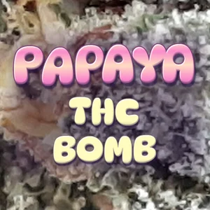 Papaya THC Bomb Cannabis Strain