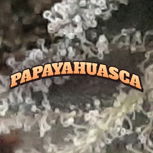 Papayahuasca Cannabis Strain