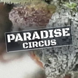 Paradise Circus Cannabis Strain