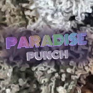 Paradise Punch Cannabis Strain