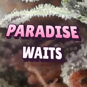 Paradise Waits Cannabis Strain