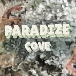 Paradize Cove Cannabis Strain