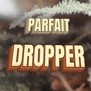Parfait Dropper Cannabis Strain