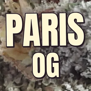 Paris OG Cannabis Strain