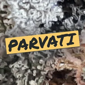 Parvati Cannabis Strain