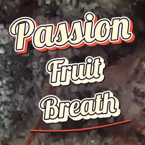 Passion Fruit Breath Cannabis Strain