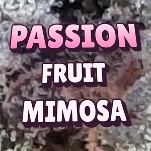 Passion Fruit Mimosa Cannabis Strain