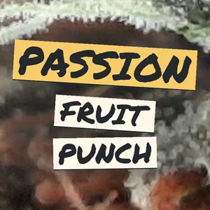 Passion Fruit Punch Cannabis Strain