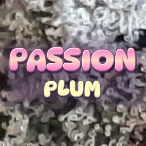 Passion Plum Cannabis Strain