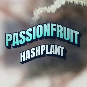 Passionfruit Hashplant Cannabis Strain