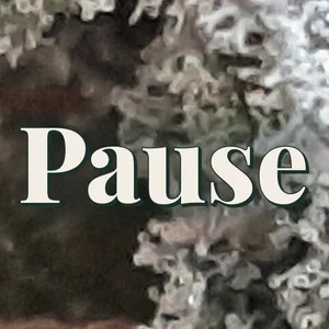 Pause Cannabis Strain