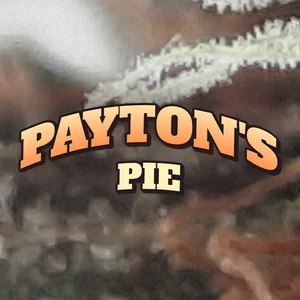 Payton's Pie Cannabis Strain