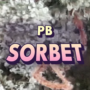 PB Sorbet Cannabis Strain
