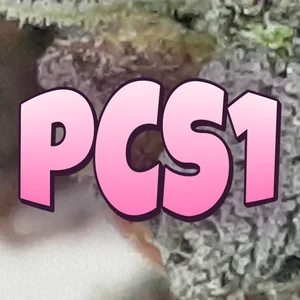 PCS1 Cannabis Strain