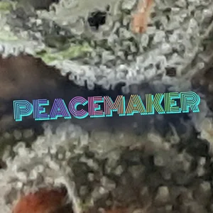 Peacemaker Cannabis Strain