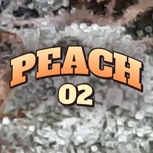 Peach 02 Cannabis Strain