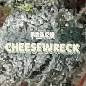 Peach Cheesewreck Cannabis Strain