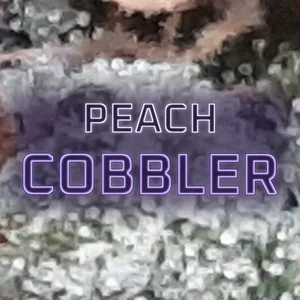 Peach Cobbler Cannabis Strain