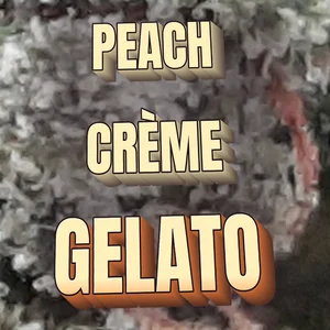 Peach Crème Gelato Cannabis Strain