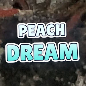 Peach Dream Cannabis Strain