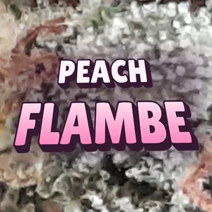 Peach Flambe Cannabis Strain