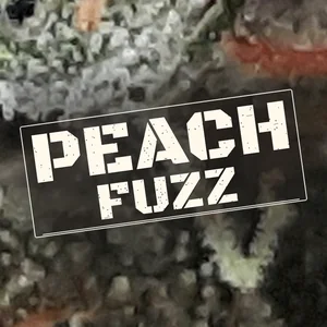 Peach Fuzz Cannabis Strain