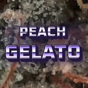 Peach Gelato Cannabis Strain