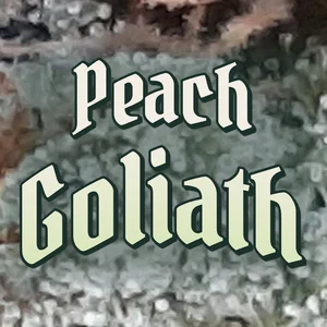Peach Goliath Cannabis Strain