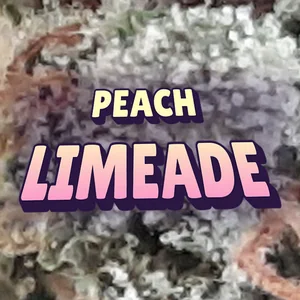 Peach Limeade Cannabis Strain