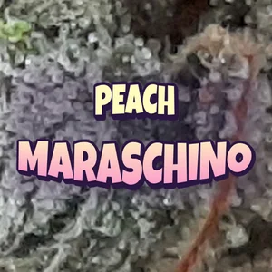 Peach Maraschino Cannabis Strain