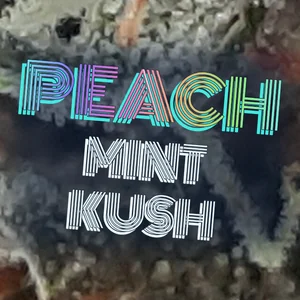 Peach Mint Kush Cannabis Strain