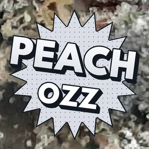 Peach Ozz Cannabis Strain