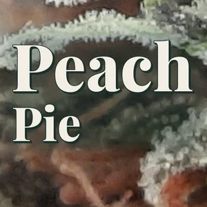 Peach Pie Cannabis Strain