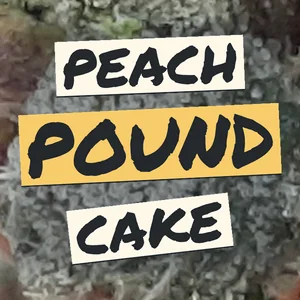 Peach Pound Cake Cannabis Strain
