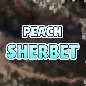 Peach Sherbet Cannabis Strain