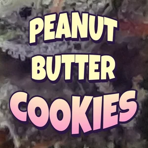 Peanut Butter Cookies Cannabis Strain