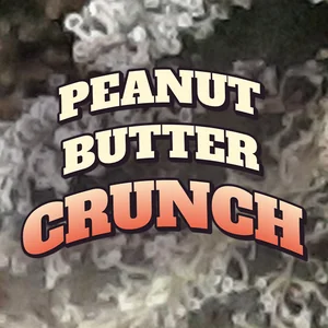 Peanut Butter Crunch Cannabis Strain