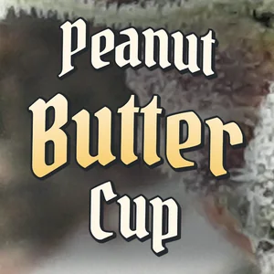 Peanut Butter Cup Cannabis Strain