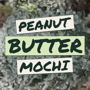 Peanut Butter Mochi Cannabis Strain