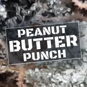 Peanut Butter Punch Cannabis Strain