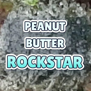 Peanut Butter Rockstar Cannabis Strain