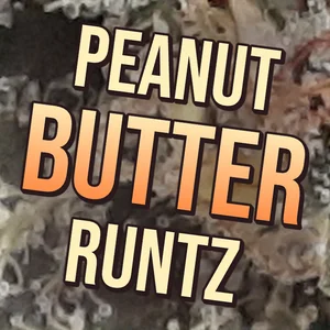 Peanut Butter Runtz Cannabis Strain