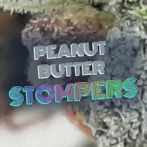Peanut Butter Stompers Cannabis Strain