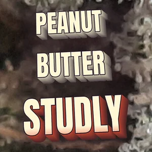 Peanut Butter Studly Cannabis Strain