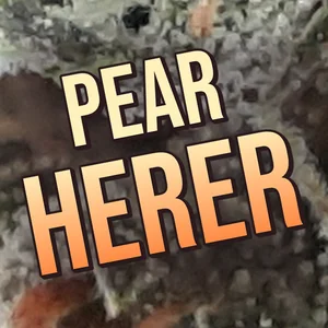 Pear Herer Cannabis Strain