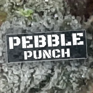 Pebble Punch Cannabis Strain