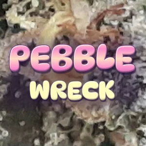 Pebble Wreck Cannabis Strain
