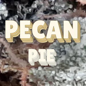 Pecan Pie Cannabis Strain