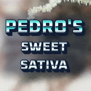Pedro's Sweet Sativa Cannabis Strain